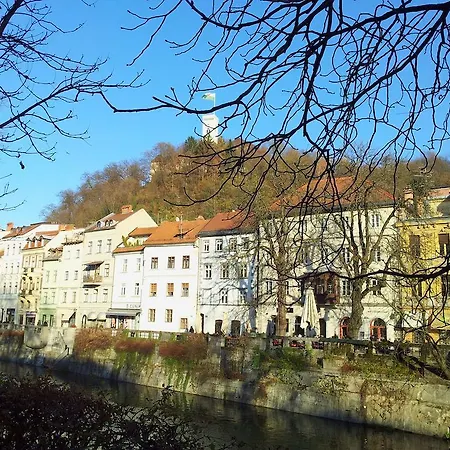 Appartement Studio Ian *